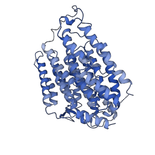 0281_6hum_D_v1-3
Structure of the photosynthetic complex I from Thermosynechococcus elongatus