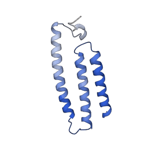 0281_6hum_E_v1-3
Structure of the photosynthetic complex I from Thermosynechococcus elongatus