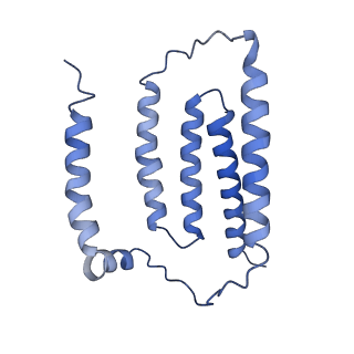 0281_6hum_G_v1-3
Structure of the photosynthetic complex I from Thermosynechococcus elongatus