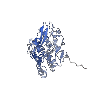 0281_6hum_H_v1-3
Structure of the photosynthetic complex I from Thermosynechococcus elongatus