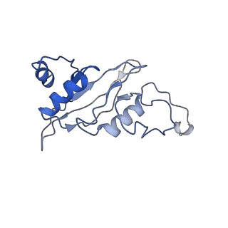 0281_6hum_J_v1-3
Structure of the photosynthetic complex I from Thermosynechococcus elongatus