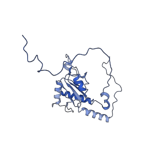 0281_6hum_K_v1-3
Structure of the photosynthetic complex I from Thermosynechococcus elongatus