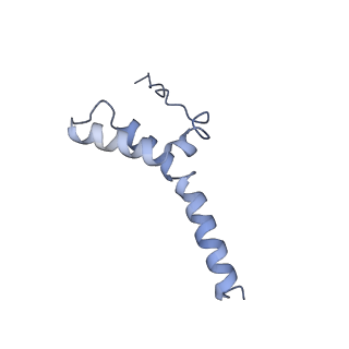 0281_6hum_L_v1-3
Structure of the photosynthetic complex I from Thermosynechococcus elongatus
