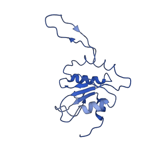 0281_6hum_N_v1-3
Structure of the photosynthetic complex I from Thermosynechococcus elongatus
