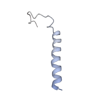 0281_6hum_Q_v1-3
Structure of the photosynthetic complex I from Thermosynechococcus elongatus