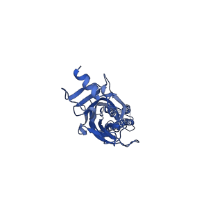 0282_6huo_A_v1-3
CryoEM structure of human full-length heteromeric alpha1beta3gamma2L GABA(A)R in complex with alprazolam (Xanax), GABA and megabody Mb38.