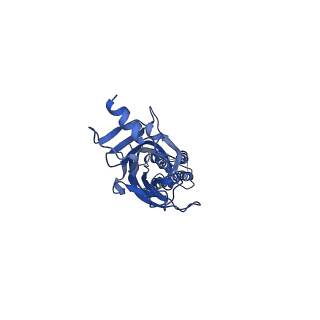 0282_6huo_A_v2-1
CryoEM structure of human full-length heteromeric alpha1beta3gamma2L GABA(A)R in complex with alprazolam (Xanax), GABA and megabody Mb38.