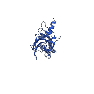 0282_6huo_B_v1-3
CryoEM structure of human full-length heteromeric alpha1beta3gamma2L GABA(A)R in complex with alprazolam (Xanax), GABA and megabody Mb38.