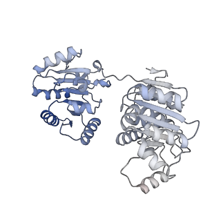 35041_8huj_A_v1-1
Cryo-EM structure of the J-K-St region of EMCV IRES in complex with eIF4G-HEAT1 and eIF4A