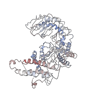 0287_6hv8_A_v1-0
Cryo-EM structure of S. cerevisiae Polymerase epsilon deltacat mutant