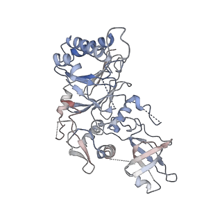 0287_6hv8_B_v1-0
Cryo-EM structure of S. cerevisiae Polymerase epsilon deltacat mutant