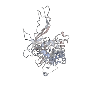 0288_6hv9_2_v2-0
S. cerevisiae CMG-Pol epsilon-DNA