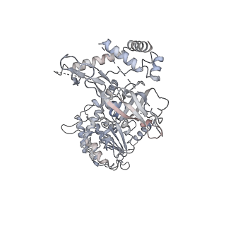 0288_6hv9_3_v1-0
S. cerevisiae CMG-Pol epsilon-DNA