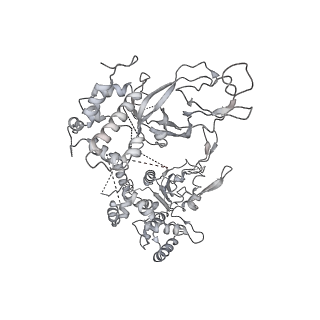 0288_6hv9_4_v1-0
S. cerevisiae CMG-Pol epsilon-DNA