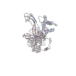 0288_6hv9_5_v2-0
S. cerevisiae CMG-Pol epsilon-DNA