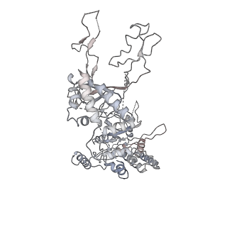 0288_6hv9_6_v1-0
S. cerevisiae CMG-Pol epsilon-DNA