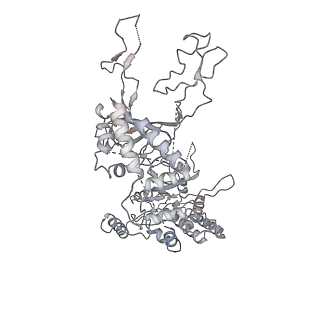 0288_6hv9_6_v2-0
S. cerevisiae CMG-Pol epsilon-DNA