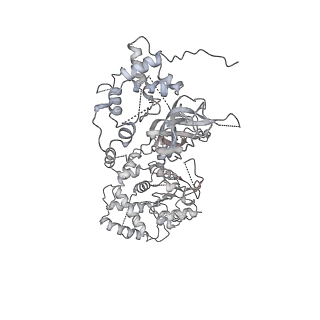 0288_6hv9_7_v1-0
S. cerevisiae CMG-Pol epsilon-DNA