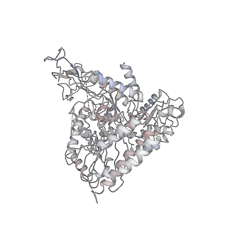 0288_6hv9_A_v2-0
S. cerevisiae CMG-Pol epsilon-DNA