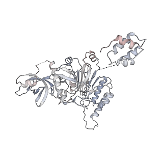 0288_6hv9_B_v1-0
S. cerevisiae CMG-Pol epsilon-DNA