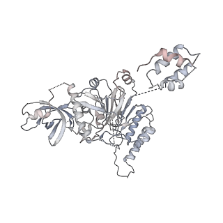 0288_6hv9_B_v2-0
S. cerevisiae CMG-Pol epsilon-DNA