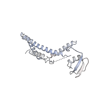 0288_6hv9_C_v1-0
S. cerevisiae CMG-Pol epsilon-DNA