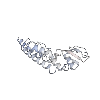 0288_6hv9_D_v1-0
S. cerevisiae CMG-Pol epsilon-DNA