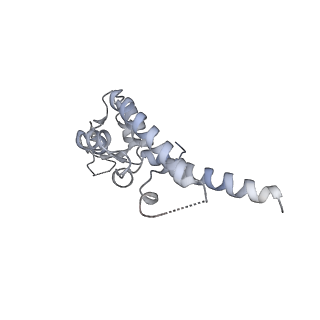 0288_6hv9_E_v1-0
S. cerevisiae CMG-Pol epsilon-DNA