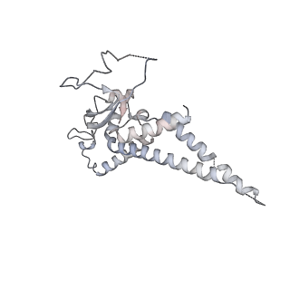 0288_6hv9_F_v2-0
S. cerevisiae CMG-Pol epsilon-DNA