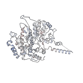 0288_6hv9_G_v1-0
S. cerevisiae CMG-Pol epsilon-DNA