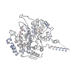 0288_6hv9_G_v2-0
S. cerevisiae CMG-Pol epsilon-DNA