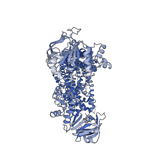 35043_8hvh_A_v1-3
Cryo-EM structure of ABC transporter ABCC3