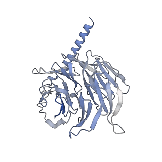 35044_8hvi_C_v1-1
Activation mechanism of GPR132 by compound NOX-6-7