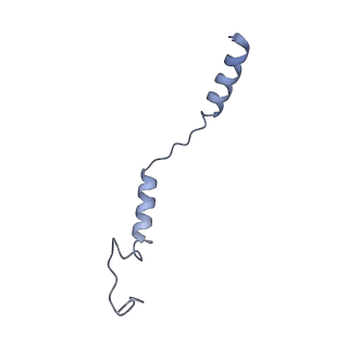 35044_8hvi_D_v1-1
Activation mechanism of GPR132 by compound NOX-6-7