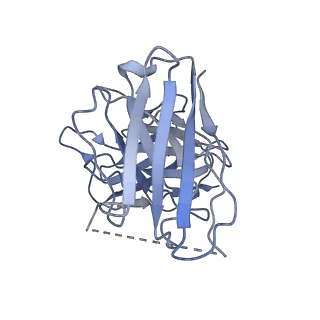 35044_8hvi_H_v1-1
Activation mechanism of GPR132 by compound NOX-6-7