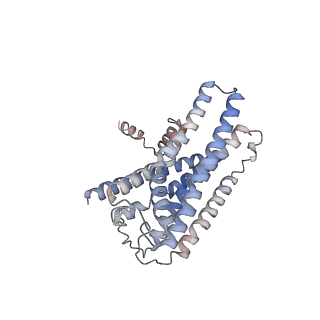 35044_8hvi_R_v1-1
Activation mechanism of GPR132 by compound NOX-6-7