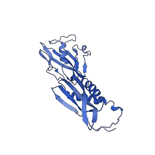 35047_8hvr_B_v1-0
Cryo-EM structure of AfsR-dependent transcription activation complex with afsS promoter