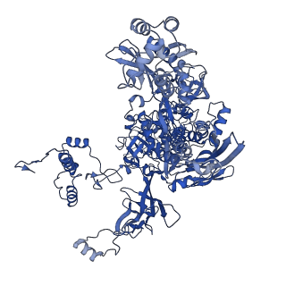 35047_8hvr_C_v1-0
Cryo-EM structure of AfsR-dependent transcription activation complex with afsS promoter