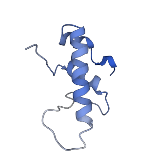 35047_8hvr_E_v1-0
Cryo-EM structure of AfsR-dependent transcription activation complex with afsS promoter