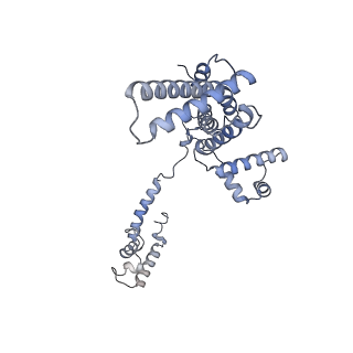 35047_8hvr_F_v1-0
Cryo-EM structure of AfsR-dependent transcription activation complex with afsS promoter