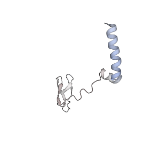 35047_8hvr_G_v1-0
Cryo-EM structure of AfsR-dependent transcription activation complex with afsS promoter
