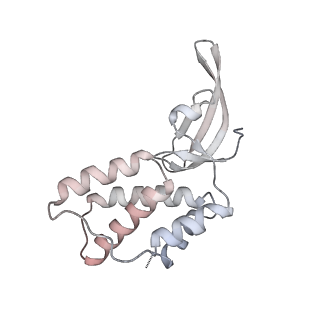 35047_8hvr_H_v1-0
Cryo-EM structure of AfsR-dependent transcription activation complex with afsS promoter