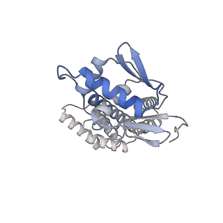 35047_8hvr_I_v1-0
Cryo-EM structure of AfsR-dependent transcription activation complex with afsS promoter
