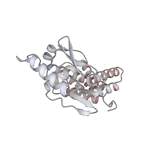 35047_8hvr_J_v1-0
Cryo-EM structure of AfsR-dependent transcription activation complex with afsS promoter