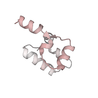 35047_8hvr_K_v1-0
Cryo-EM structure of AfsR-dependent transcription activation complex with afsS promoter