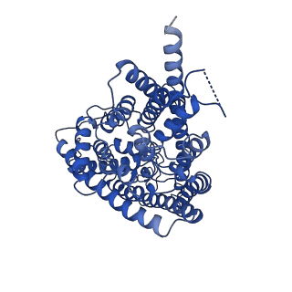 35048_8hvt_A_v1-0
Structure of the human CLC-7/Ostm1 complex reveals a novel state