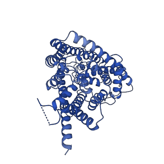 35048_8hvt_C_v1-0
Structure of the human CLC-7/Ostm1 complex reveals a novel state
