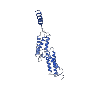 35048_8hvt_D_v1-0
Structure of the human CLC-7/Ostm1 complex reveals a novel state
