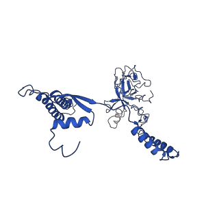 0289_6hwh_B_v1-3
Structure of a functional obligate respiratory supercomplex from Mycobacterium smegmatis