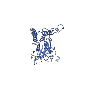 0289_6hwh_L_v1-3
Structure of a functional obligate respiratory supercomplex from Mycobacterium smegmatis